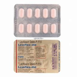 Pharmaceutical Levofloxacin 250mg x 10